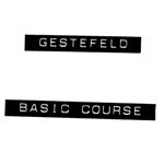 Gestefeld Course Notes