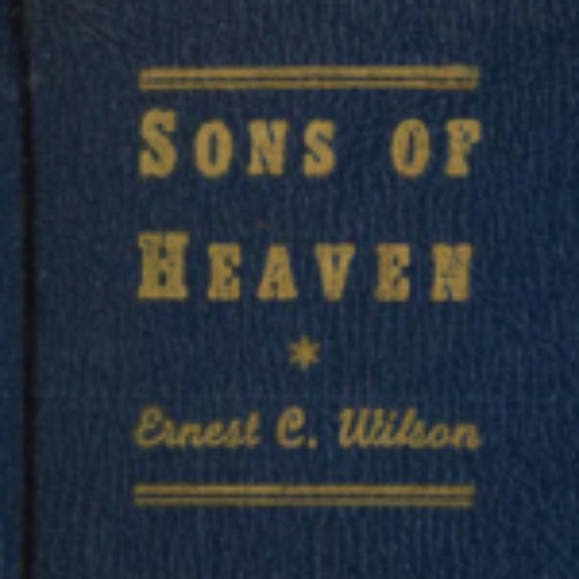 Ernest C Wilson Sons of Heaven